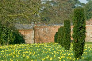 Claydon Estate Gardens