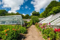 A garden path past restored greenhouses