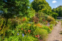 A colourful garden border