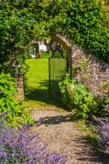 A garden path and gate
