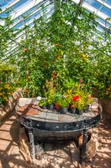 Inside one of the restored greenhouses
