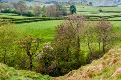 Looking down the castle motte
