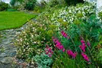 Colonsay House Gardens, Garden borders