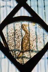 Combe Longa, St Laurence Church, Grisailles bird window