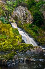 Conwy Falls, Another from the base of the falls