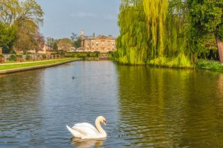 Coombe Abbey Country Park