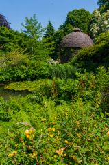 Cotehele, The Valley Garden