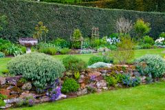 Colourful terraces and lawns near the house