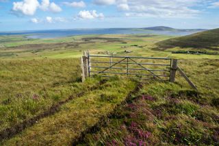 Cottascarth and Rendall Moss RSPB