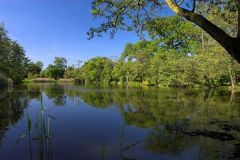 The lake at Coughton Court