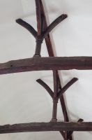 Cowlinge, St Margaret of Antioch Church, Nave roof