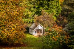 A summerhouse in the woodland garden