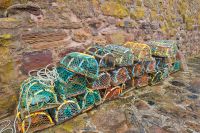 Lobster pots