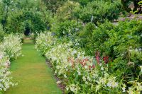 Flower borders