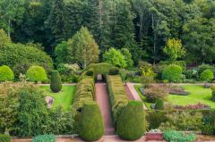 The garden from the castle tower
