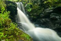 Wood of Cree, Waterfall 3