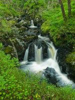 Wood of Cree, Tumbling waterfalls
