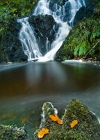 Wood of Cree, Waterfall 4