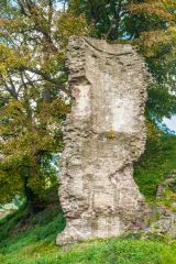 Tower ruins - still standing