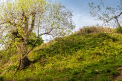 Croft Ambrey Iron Age hillfort