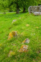 Croft Moraig Stone Circle, The rubble bank and kerb stones