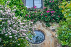 Jacobean window to the Hall