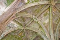 Chapter house vaulting