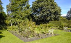 The rose garden (c) Bill Harrison