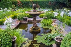 A fountain in the garden