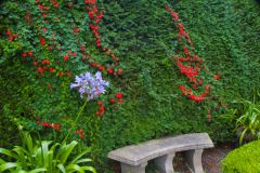 A quiet garden bench