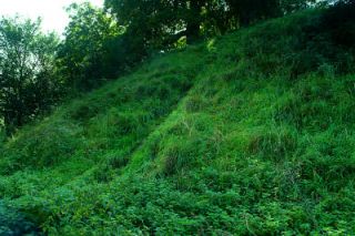 Deddington Castle