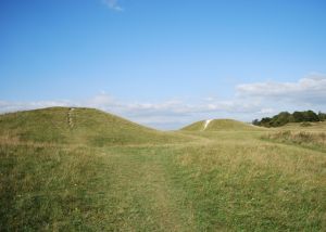 Devil's Humps Barrows