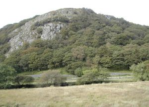 Dinas Castle