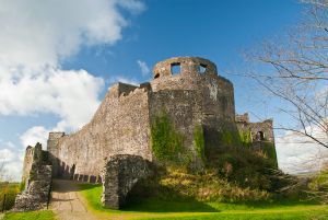 Dinefwr Castle