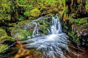Dollar Glen
