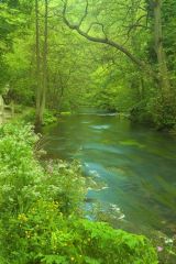 Following the River Dove