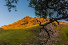 Thorpe Cloud from the Dovedale path