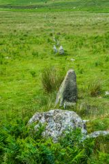 Looking down the east row