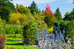 The gardens in bloom