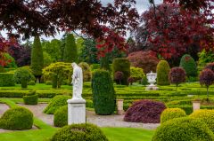 The lush colours of Drummond!