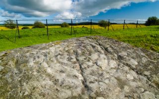 Drumtroddan Cup and Ring Marked Rocks