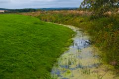 Duffus Castle, Moat ditch