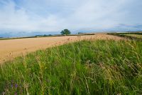 View from on top of the Howe