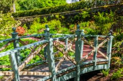 An oriental bridge in the garden