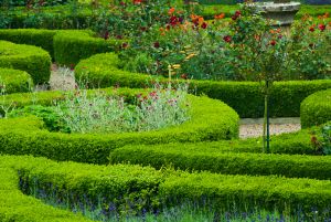 Duncombe Park