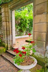 A garden arch and flowers