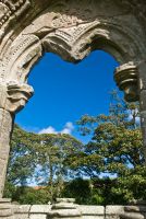 Cusped window opening