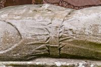 Dundrennan Abbey, Effigy detail