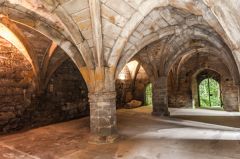 The vaulted cellars