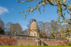 The Pineapple from the walled garden